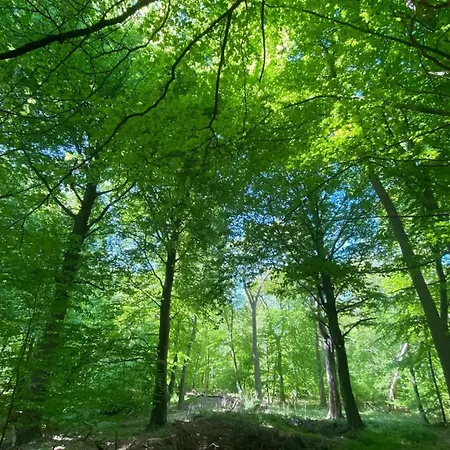 Prázdninový dům Luxushaus Boddenkueste Mit Sauna, Cleaning Included